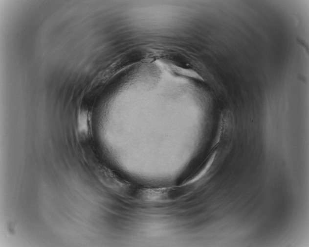 X0000100760094200807101738