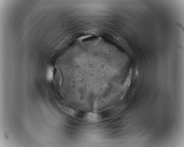 X0000100760095200807101738