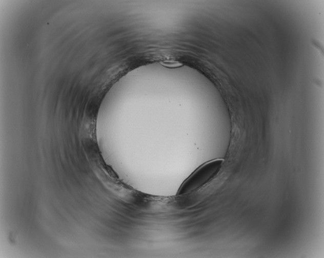 X0000100760096200807101738