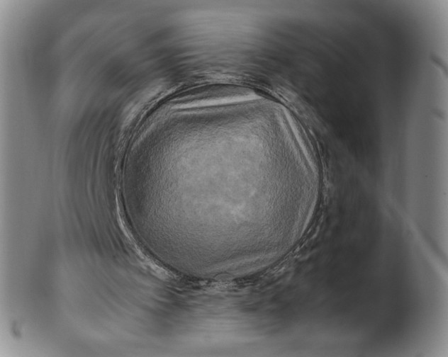 X0000100760097200807101737