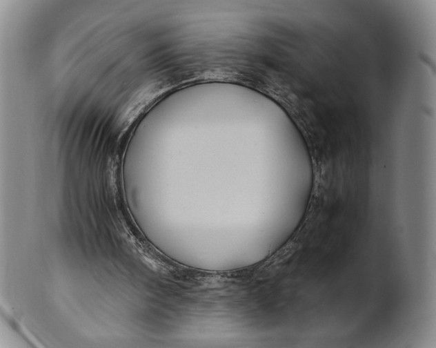 X0000100760098200807101737
