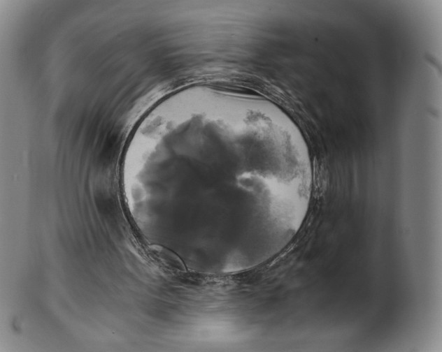 X0000100760099200807101737