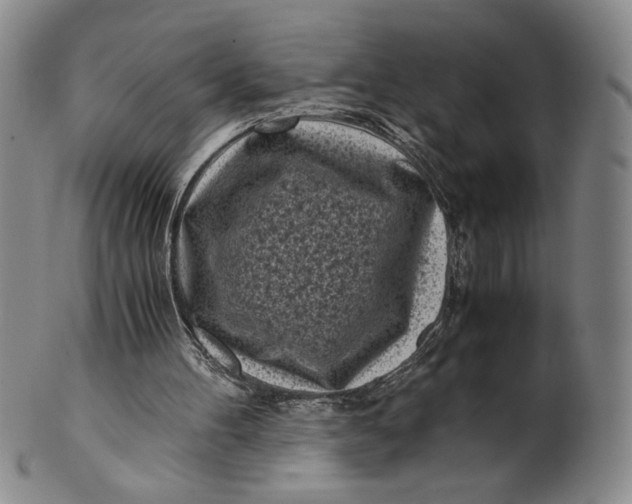 X0000100760100200807101737