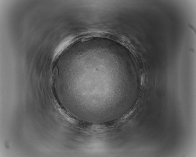 X0000100760101200807101737