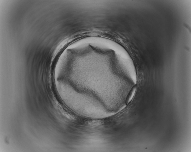 X0000100760102200807101737