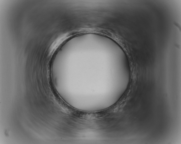 X0000100760103200807101737
