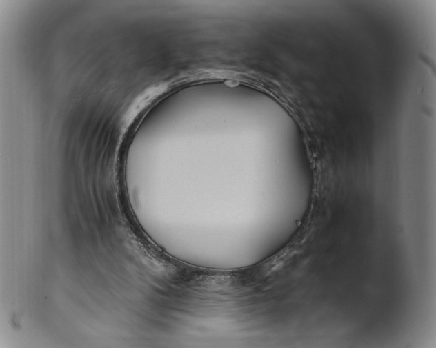 X0000100760104200807101737