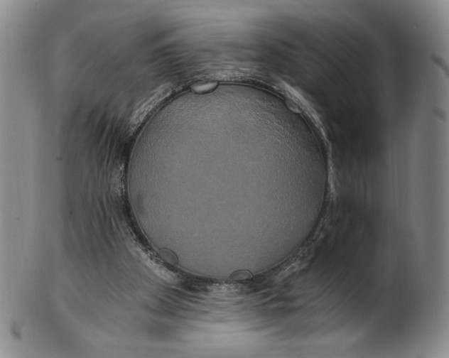 X0000100760105200807101737