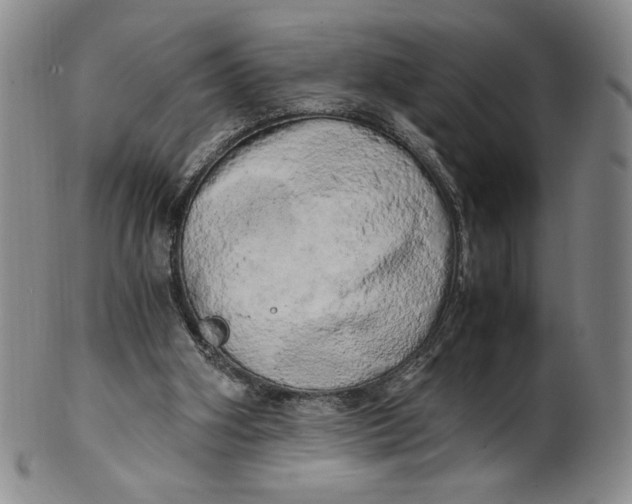 X0000100760106200807101737