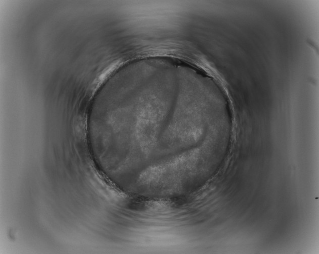 X0000100760107200807101737