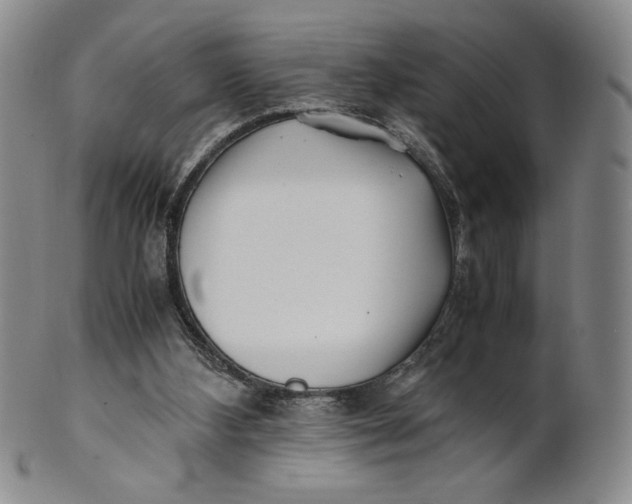 X0000100760108200807101737
