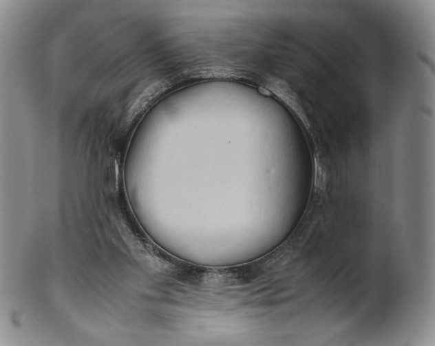 X0000100760109200807101737