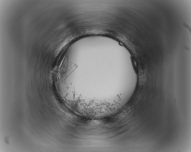 X0000100760111200807101737