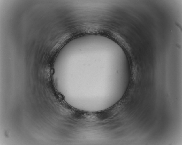 X0000100760113200807101737