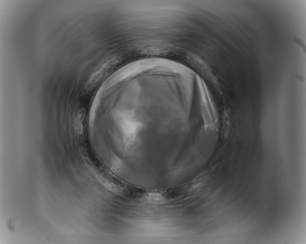 X0000100760114200807101737