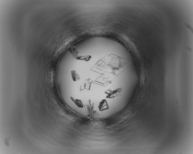 X0000100760115200807101737