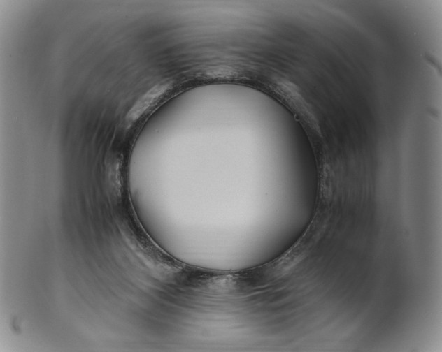 X0000100760116200807101737