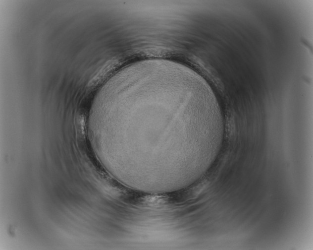 X0000100760117200807101737