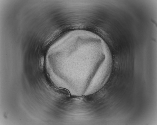X0000100760118200807101737