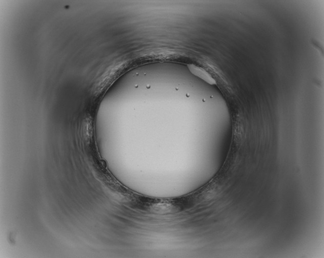 X0000100760119200807101737