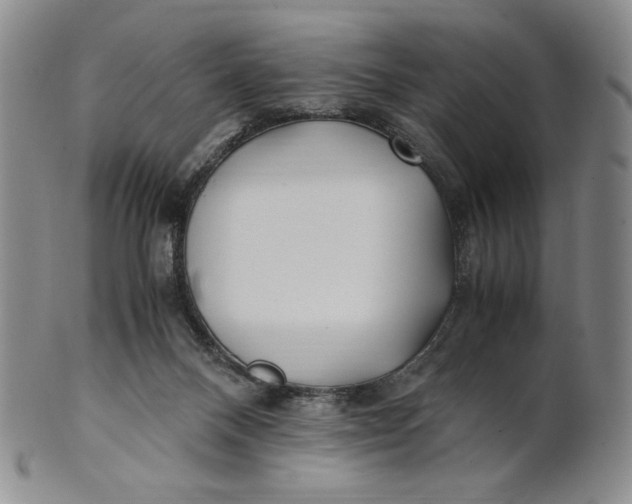 X0000100760120200807101737