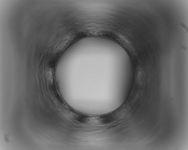 X0000100760121200807101737