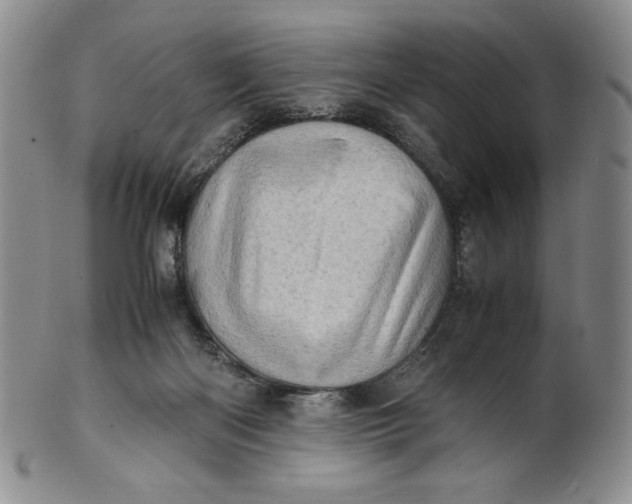 X0000100760122200807101737