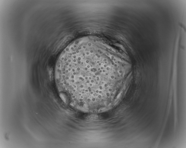 X0000100760123200807101737