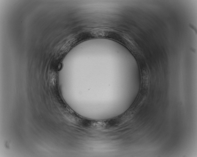 X0000100760125200807101737