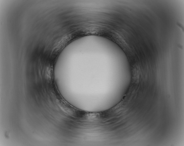 X0000100760126200807101737