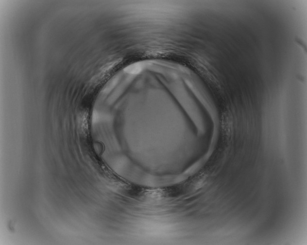 X0000100760127200807101737