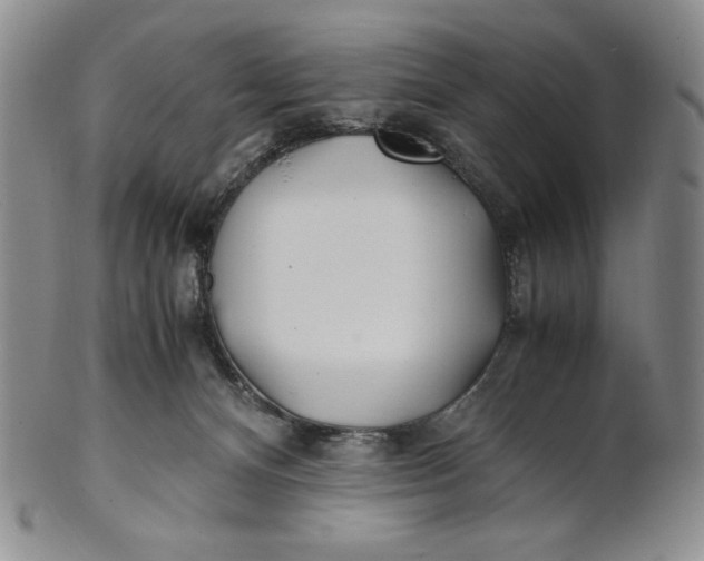 X0000100760128200807101737