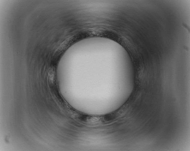 X0000100760129200807101737