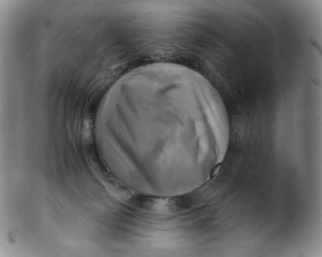 X0000100760130200807101737