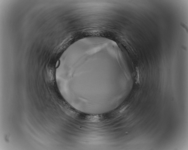 X0000100760131200807101737