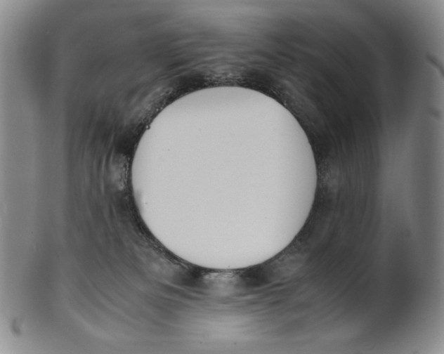 X0000100760133200807101737