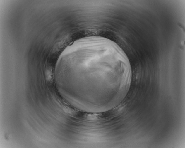 X0000100760134200807101737
