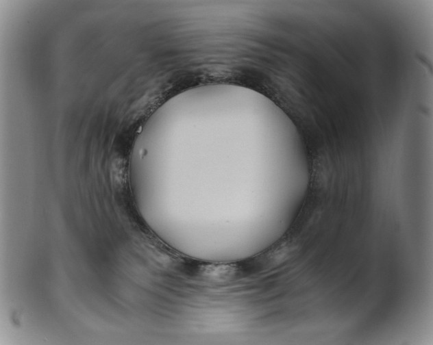 X0000100760135200807101737