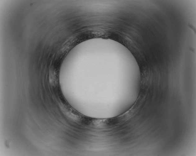X0000100760136200807101737
