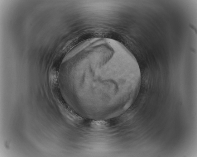 X0000100760137200807101737