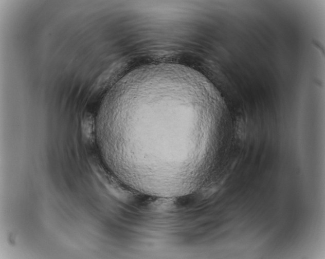 X0000100760138200807101737