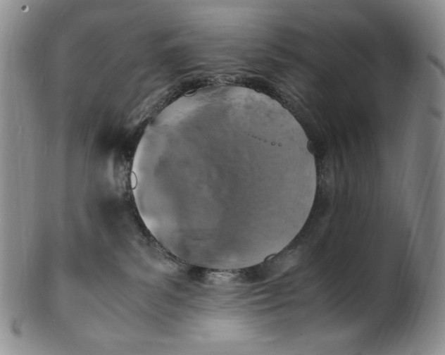 X0000100760139200807101737
