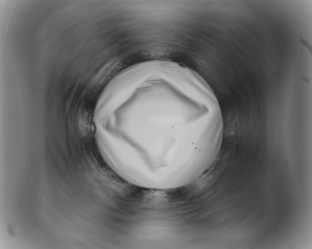X0000100760140200807101737
