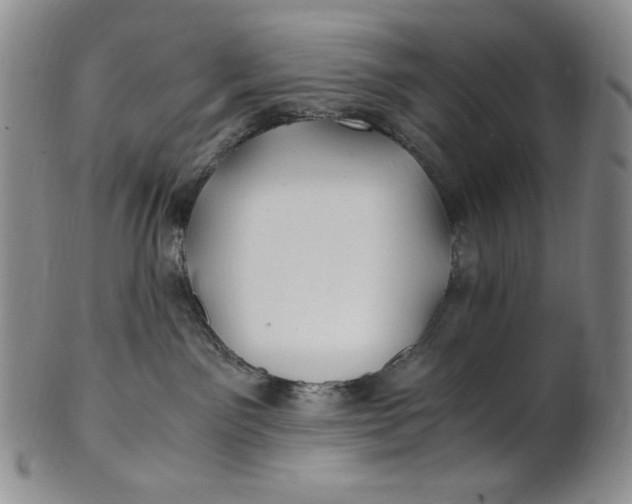 X0000100760141200807101737
