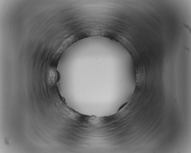 X0000100760142200807101736