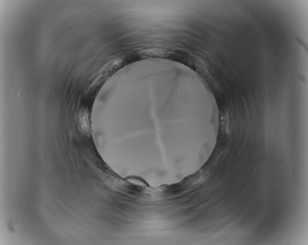 X0000100760143200807101736