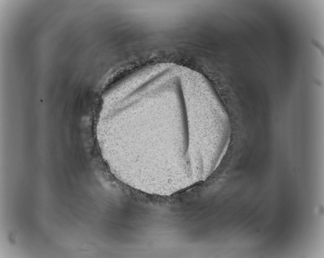 X0000100760144200807101736