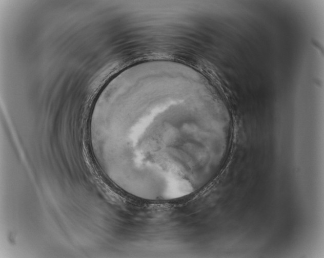 X0000100760145200807101736