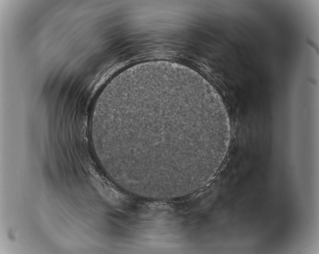 X0000100760146200807101736