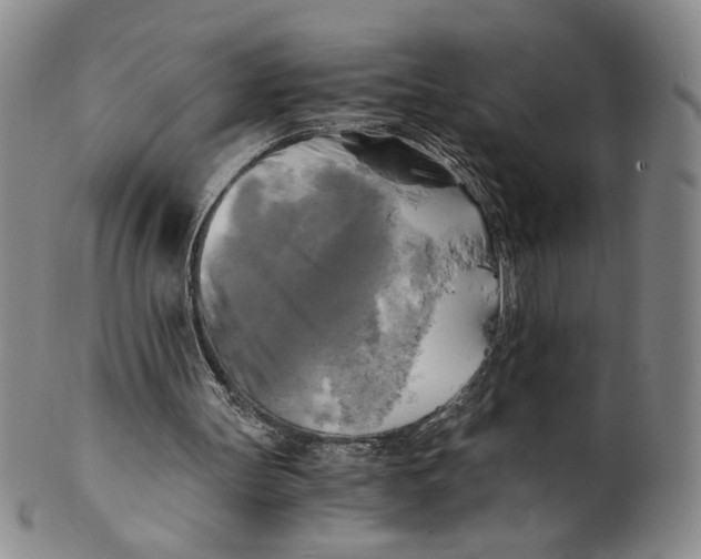 X0000100760147200807101736